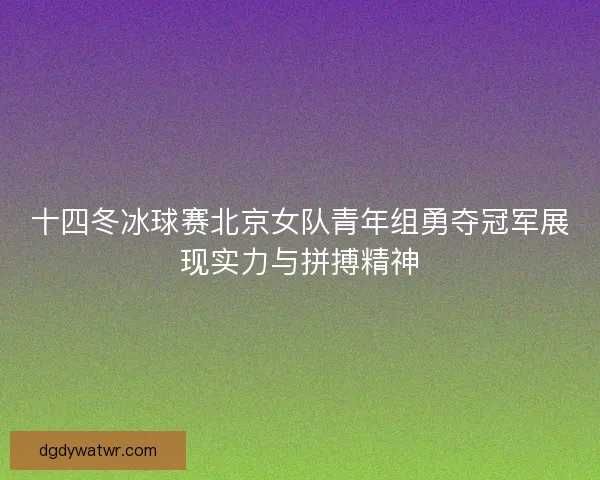 十四冬冰球赛北京女队青年组勇夺冠军展现实力与拼搏精神